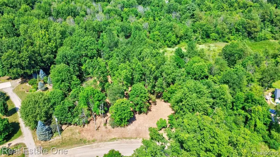 00 Bridges Cove, Metamora, MI 48455 - #3