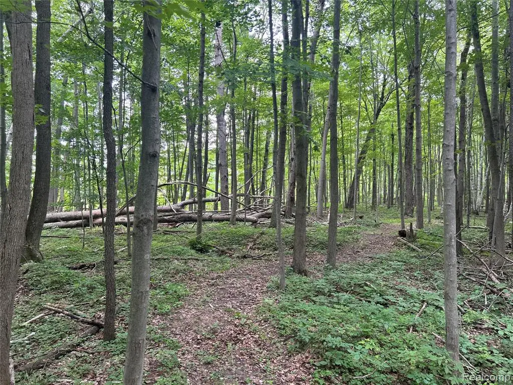 4502 Cemetery, Kingston, MI 48741 - #1