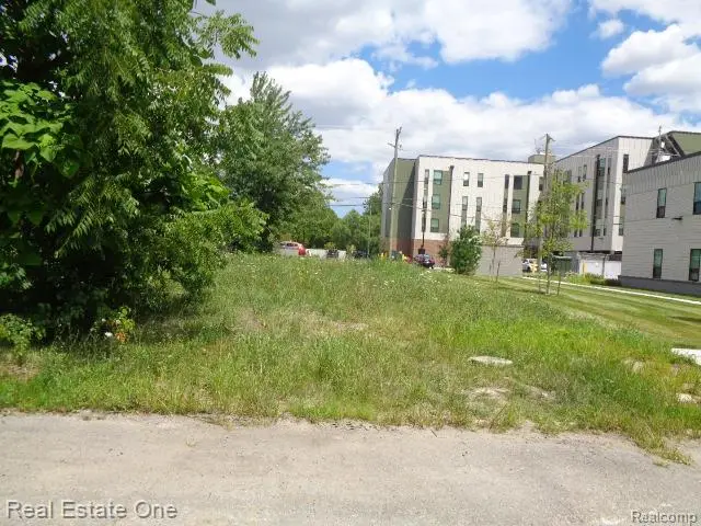 3354 15th, Detroit, MI 48208 - #1