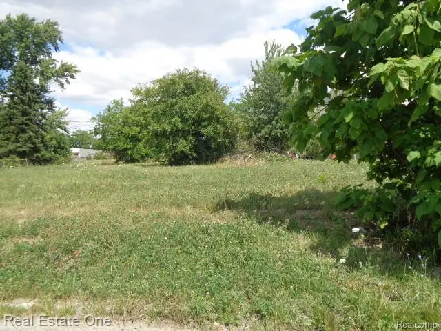 3354 15th, Detroit, MI 48208 - #2