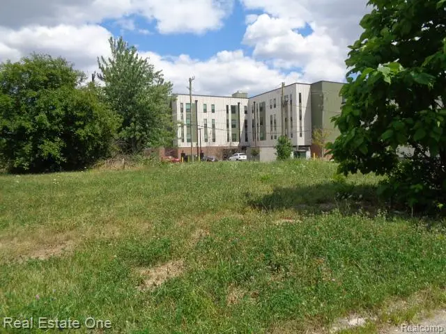 3354 15th, Detroit, MI 48208 - #3