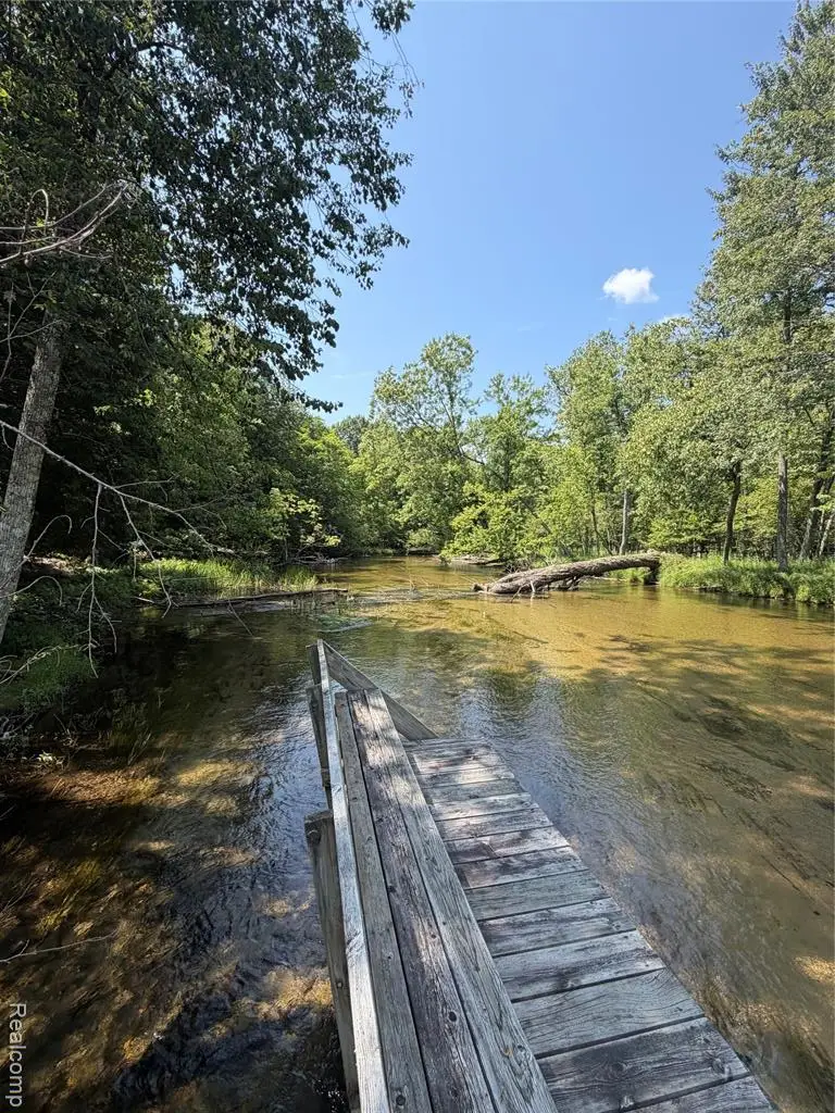 9670 S County Line, Manistee, MI 49660 - #2