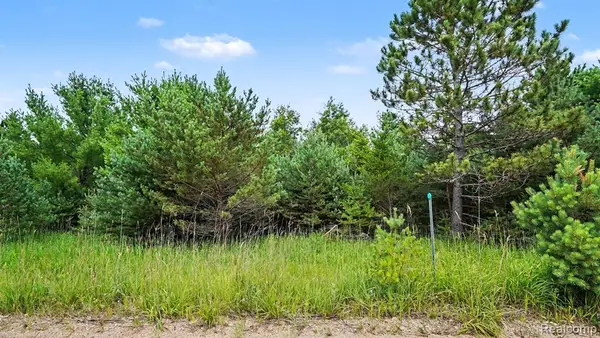 000 Fletcher, Roscommon, MI 48653