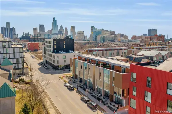 2809 Brush Street, Detroit, MI 48201
