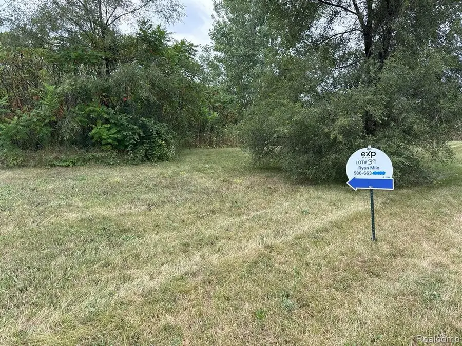 10309 Sherman, Willis, MI 48191 - #2