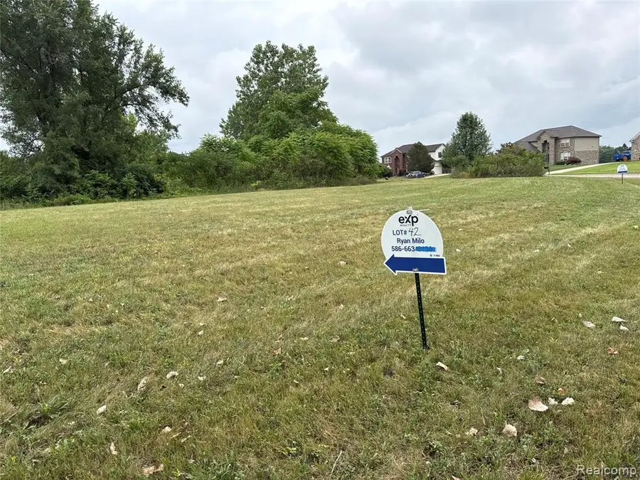 10217 Sherman, Willis, MI 48191 - #2