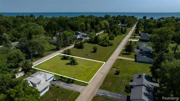 156 Birchtree, Lexington, MI 48450