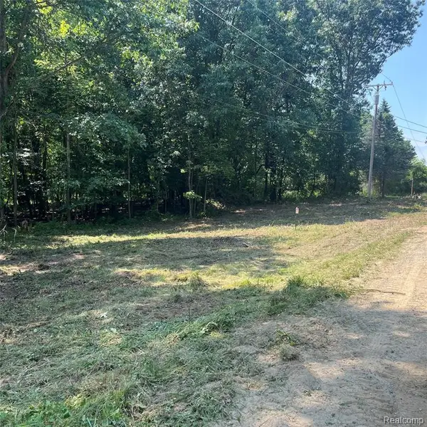 1255 Houghton, Ortonville, MI 48462