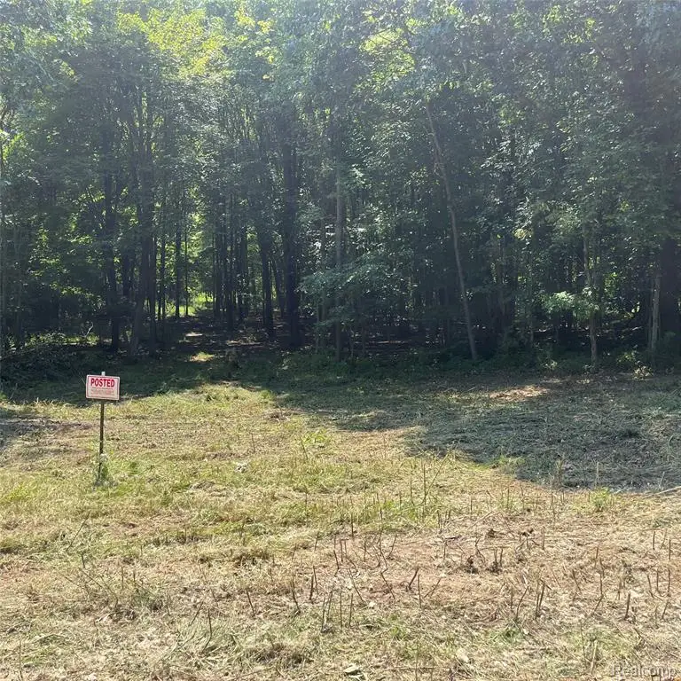 1255 Houghton, Ortonville, MI 48462 - #3