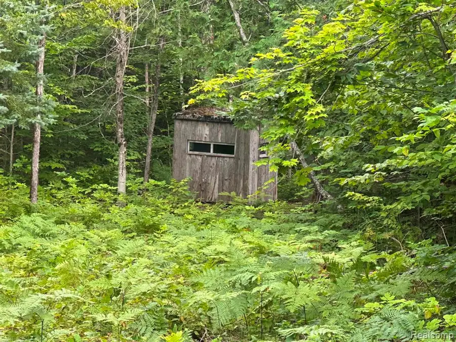 0 Us Hwy 23, Presque Isle, MI 49777 - #3