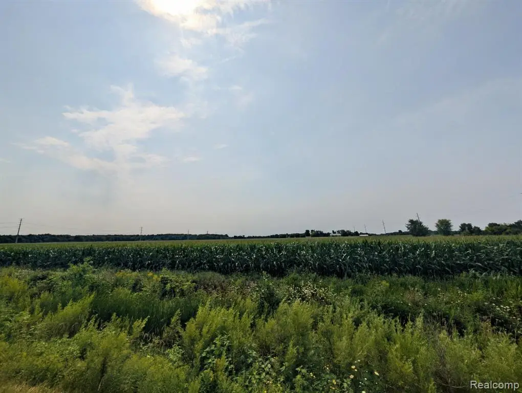 0 Brown, Greenwood, MI 48006 - #1