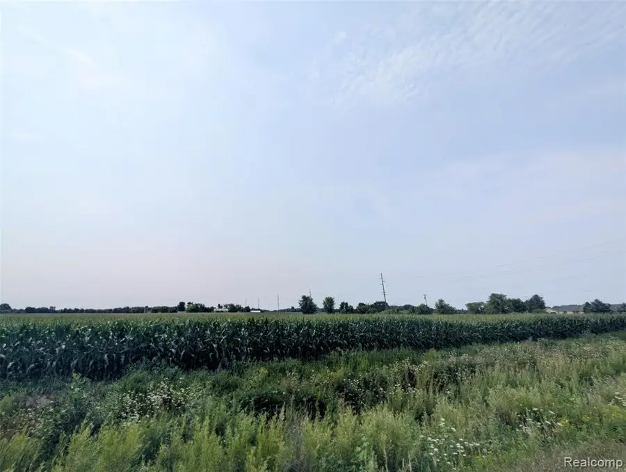 0 Brown, Greenwood, MI 48006 - #3