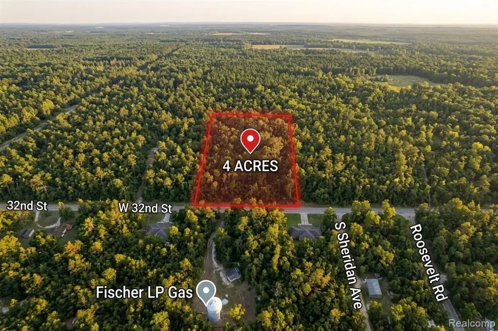 V/L 32nd St, Pleasant Plains, MI 49304 - #1