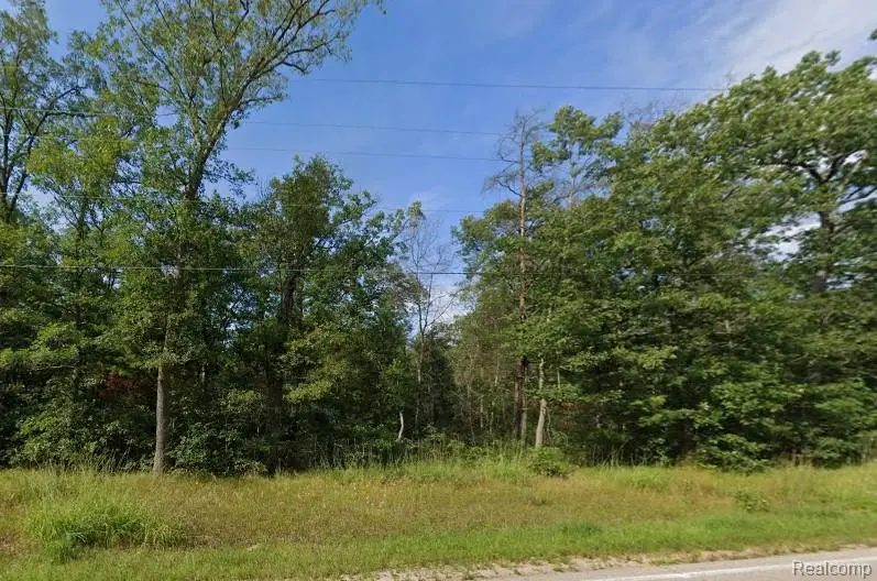 V/L 32nd St, Pleasant Plains, MI 49304 - #3