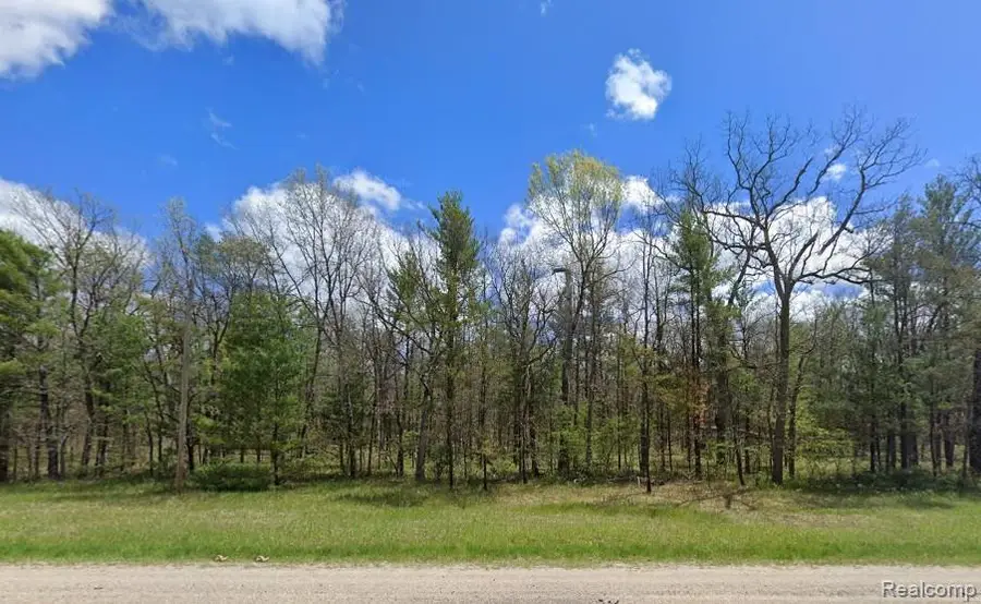 V/L Parcel A Hwy 10 Nw, Pleasant Plains, MI 49304 - #2