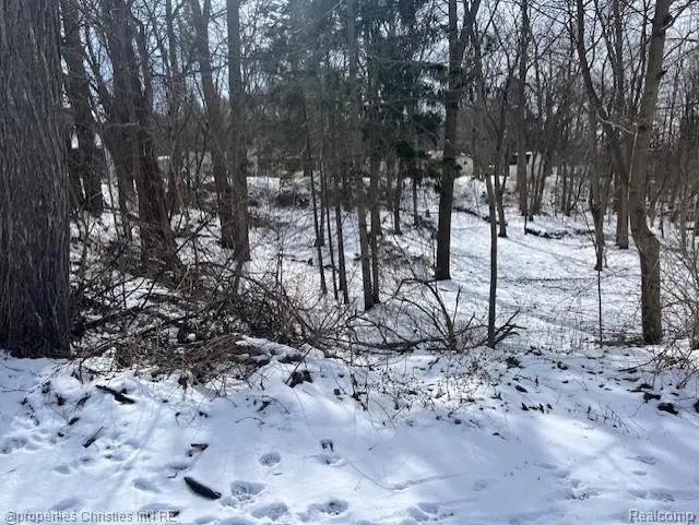 439 Alberta Street Lot 81, Auburn Hills, MI 48326 - #1
