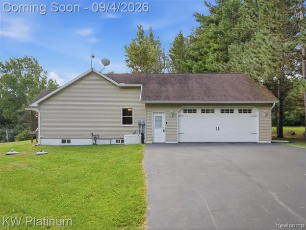 3775 Sandusky, Peck, MI 48466