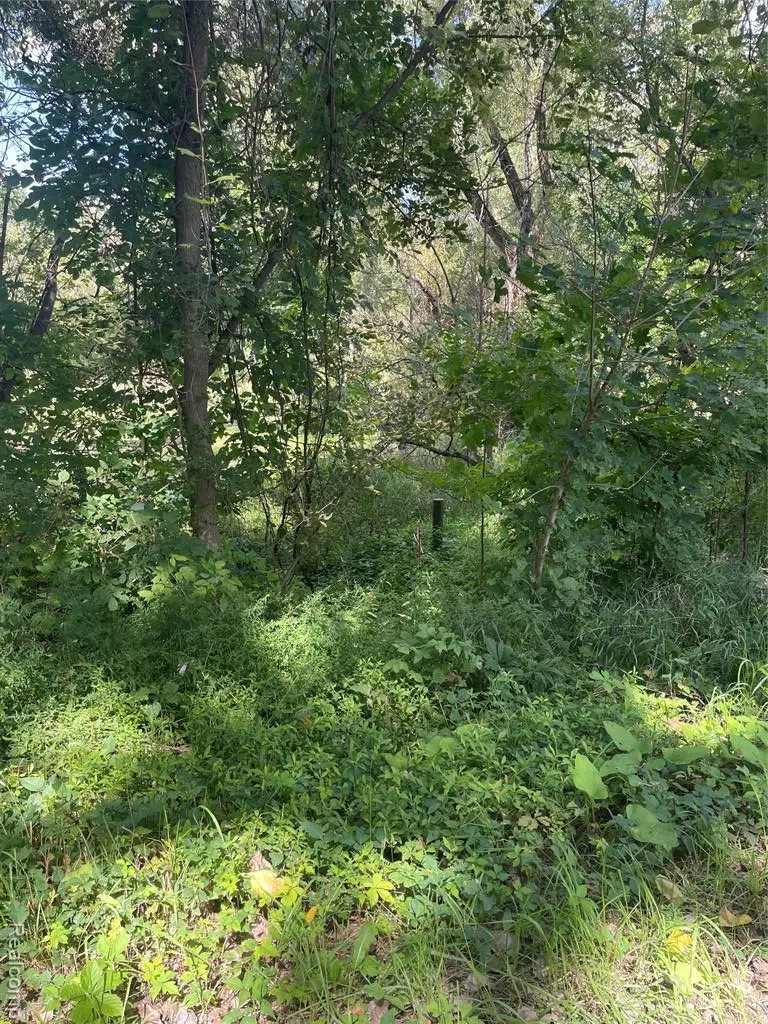 0000 Thom, Columbiaville, MI  - #1