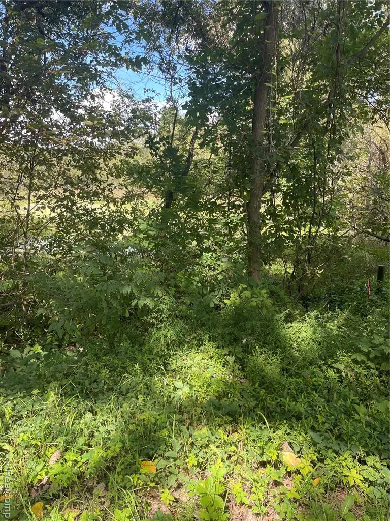 0000 Thom, Columbiaville, MI  - #3