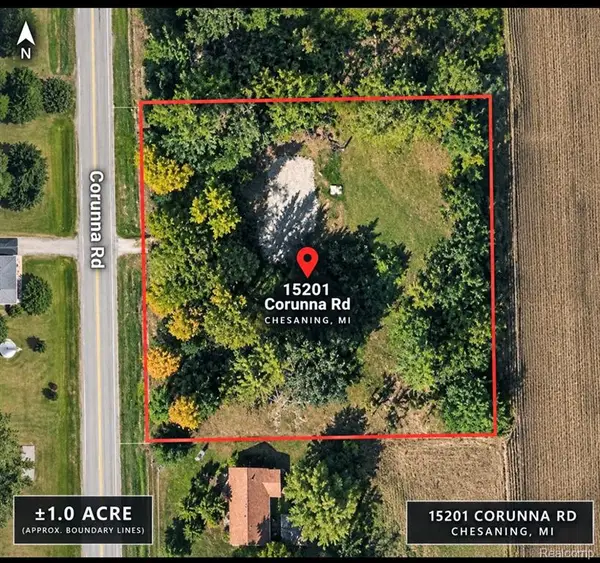 15201 Corunna, Chesaning, MI 48616
