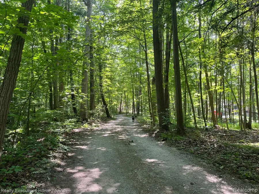 5665 Logging Lane, North Street, MI 48049 - #3