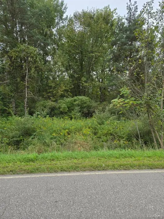V/L Shay Lake Rd, Silverwood, MI 48219