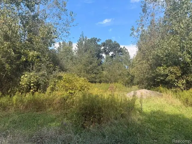 43840 Wear, Belleville, MI 48111 - #3
