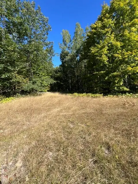 718 Worsh Rd, Indian River, MI 49749 - #1
