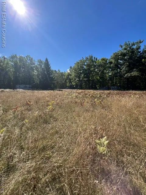 718 Worsh Rd, Indian River, MI 49749 - #2