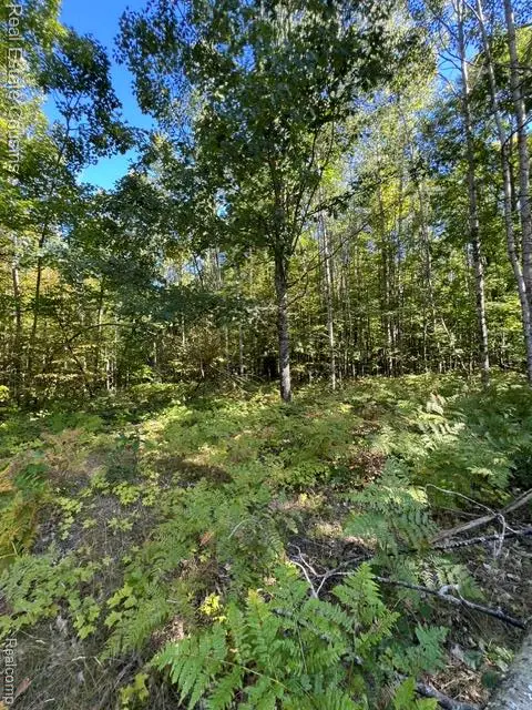 718 Worsh Rd, Indian River, MI 49749 - #3