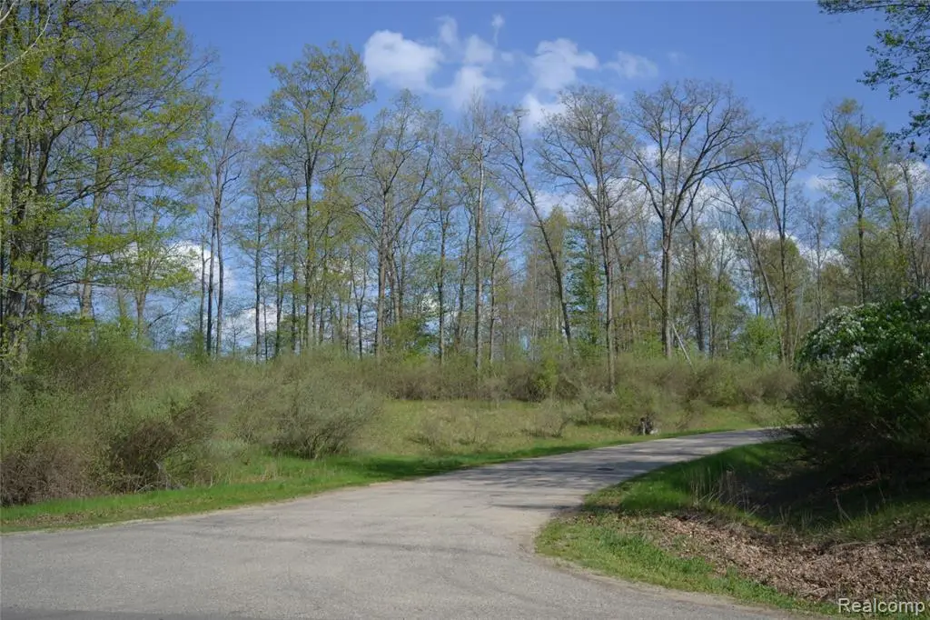 LOT 7 Oak Ridge, Mills, MI 48756 - #1