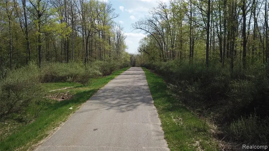 LOT 8 Oak Ridge, Mills, MI 48756 - #3
