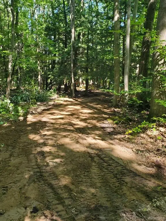 8204 Partridge Woods, Elk Rapids, MI  - #1