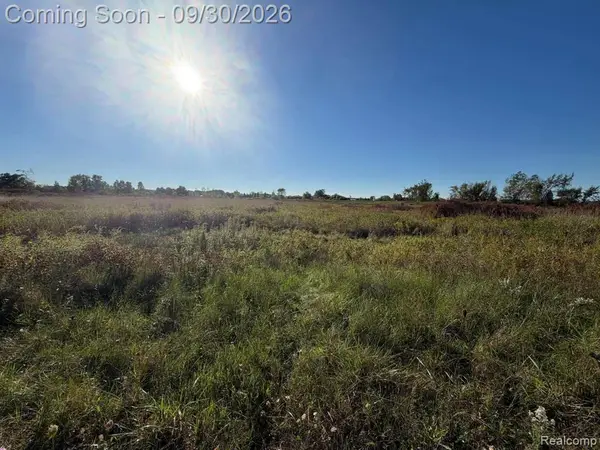 00 WINDMILL-PAR Windmill Lane, Imlay City, MI 48444