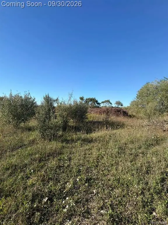 00 WINDMILL-PAR Windmill Lane, Imlay City, MI 48444 - #2
