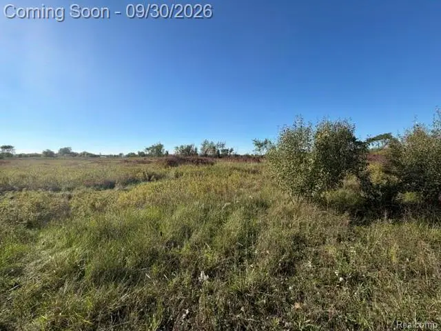 00 WINDMILL-PAR Windmill Lane, Imlay City, MI 48444 - #3