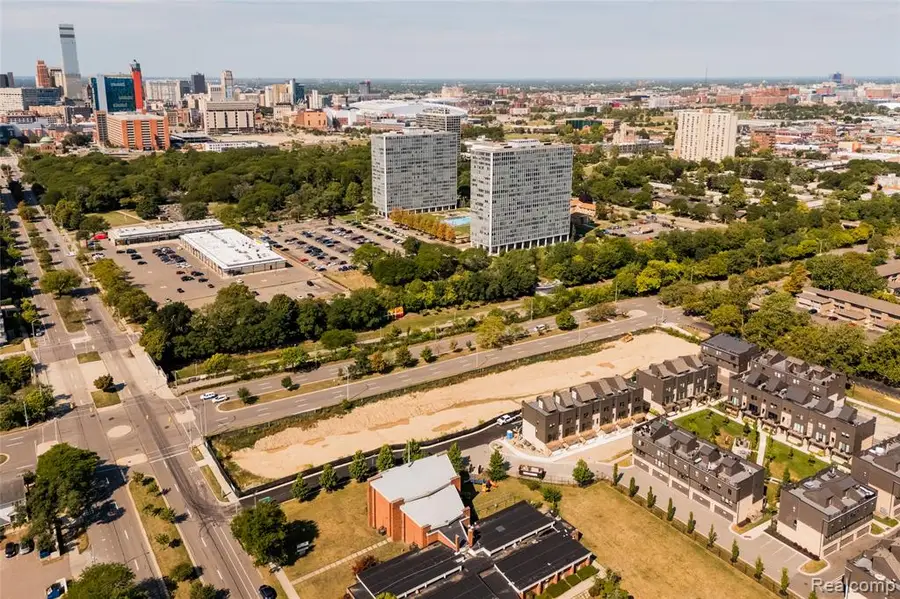 1100 St Aubin, Detroit, MI 48207 - #3