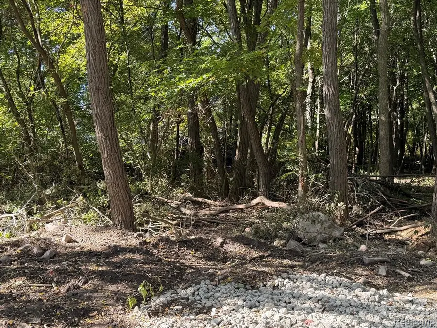 VL Wildwood 2.9 Wildwood Rd, Davisburg, MI 48350 - #3