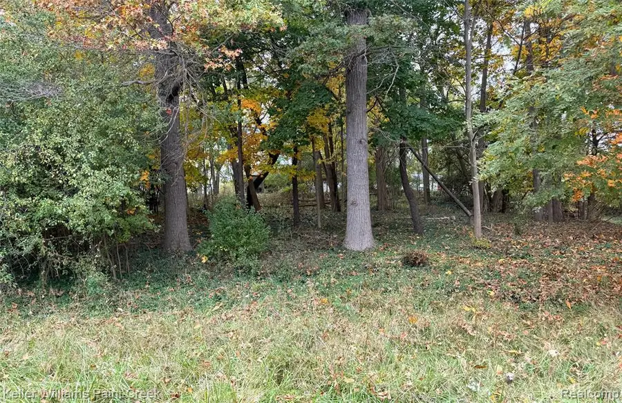 000 N Conklin, Lake Orion, MI 48362 - #3