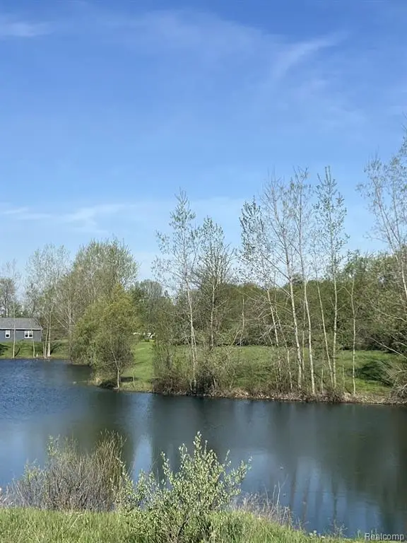 VL Turtle Lake, North Branch, MI 48461
