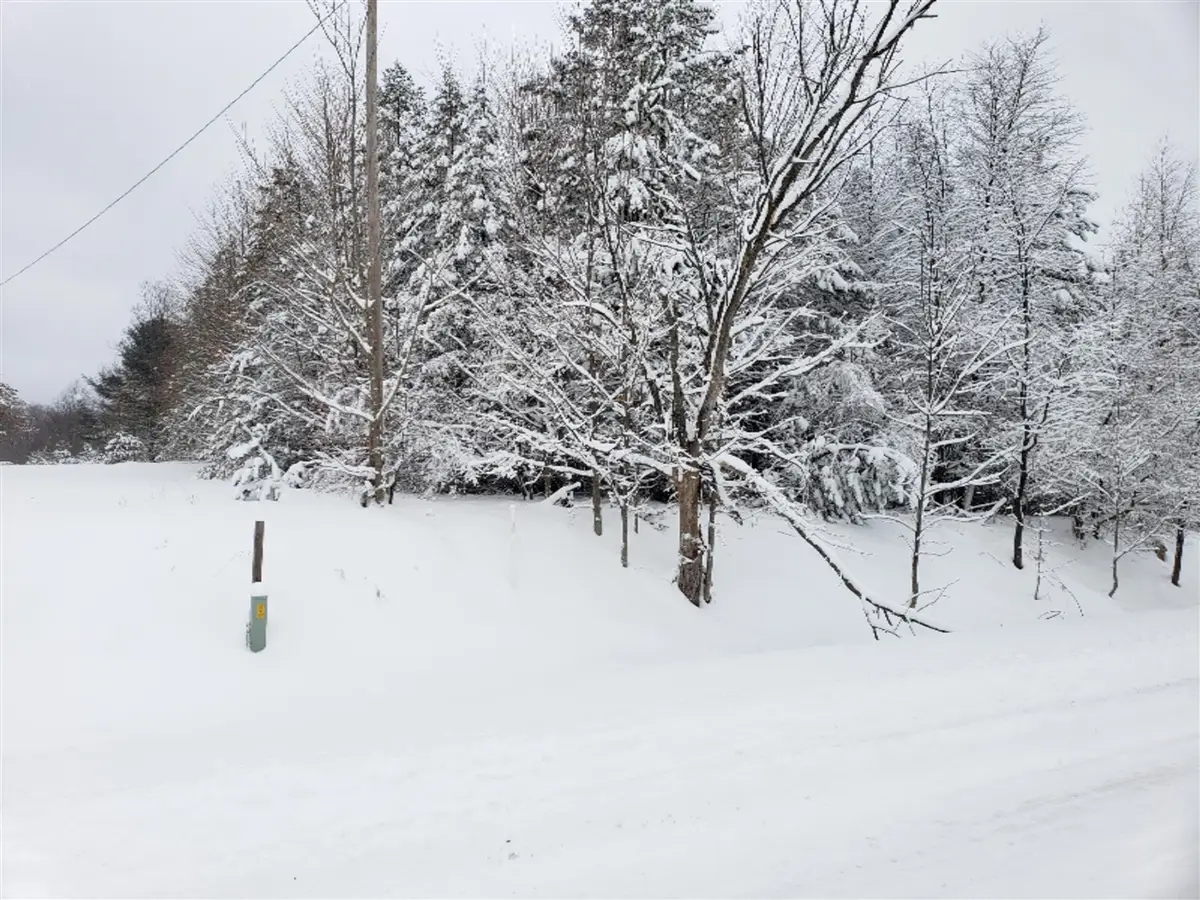 Chief, Kaleva, MI 49645 - Image #1