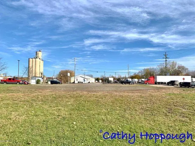 261 S Dexter, Ionia, MI 48846 - #1