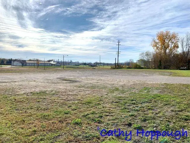 261 S Dexter, Ionia, MI 48846 - #2
