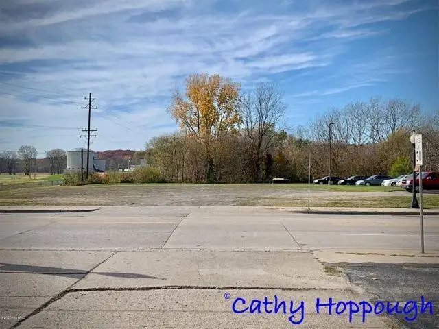 261 S Dexter, Ionia, MI 48846 - #3