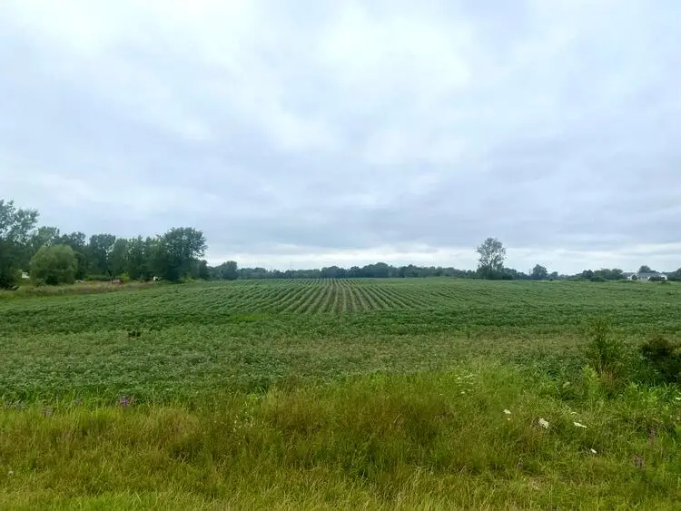 0 Byron, Hudsonville, MI 49426 - Image #1