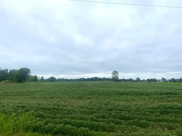 0 Byron, Hudsonville, MI 49426 - Image #3