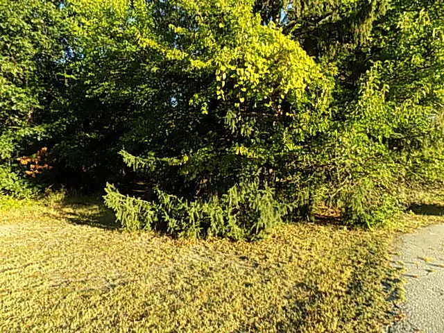 000 Red Arrow Highway, Stevensville, MI 49127 - Image #3