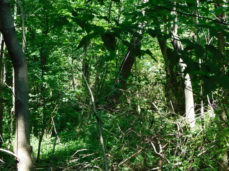 0 E Napier, Benton Harbor, MI 49022 - Image #3