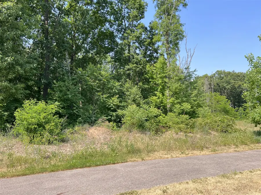 8532 Brighten, Mattawan, MI 49071 - #3