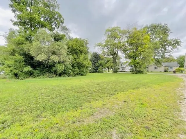 Lot 1 Ionia, Lake Odessa, MI 48849 - #2